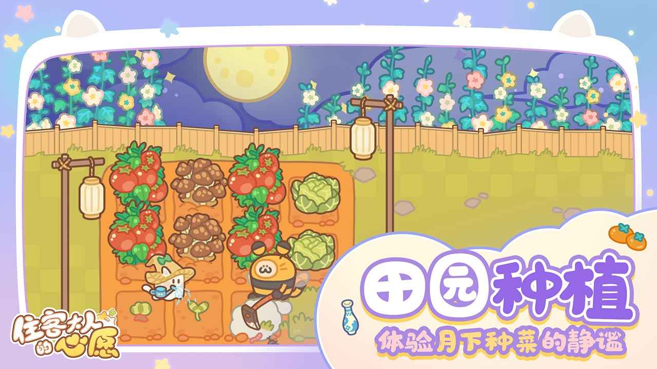 住客大人的心愿最新版截图2