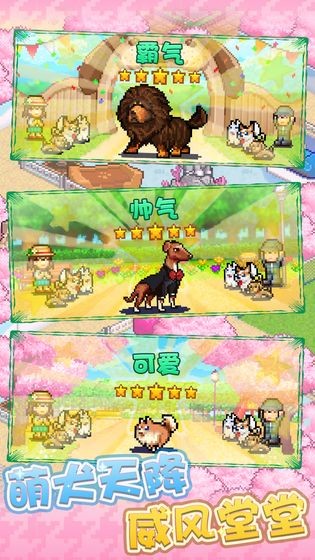 发现狗狗乐园最新版截图2