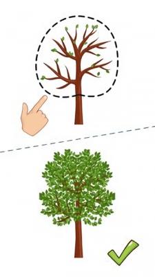 这题太难了正版截图1