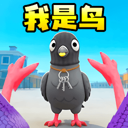 鸽子大冒险