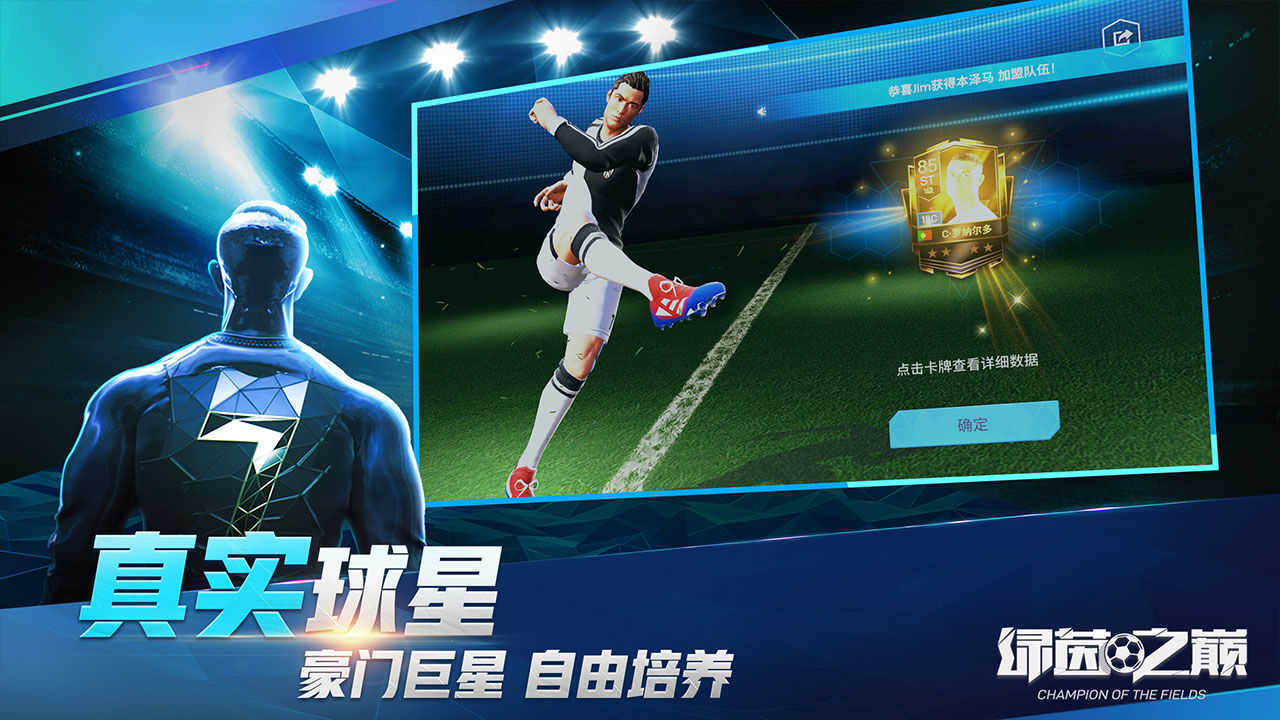 绿茵之巅截图3