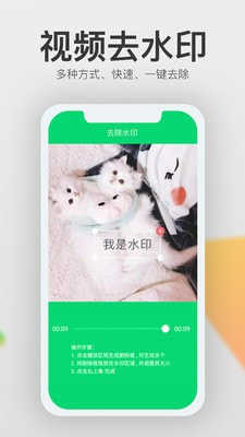 视频一键去水印截图1