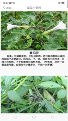 中药养生记截图1