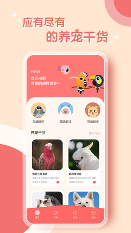鹦鹉翻译器中文版