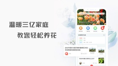 花信截图0