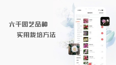 花信截图2
