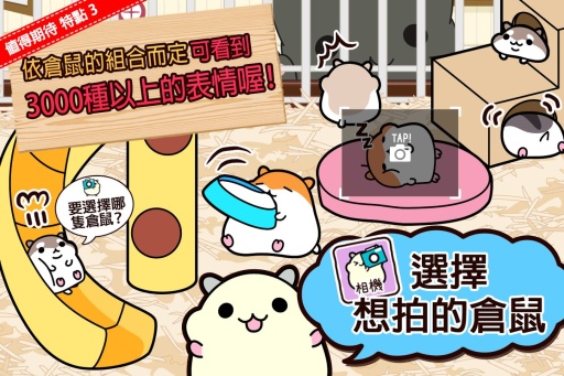 仓鼠收集截图1