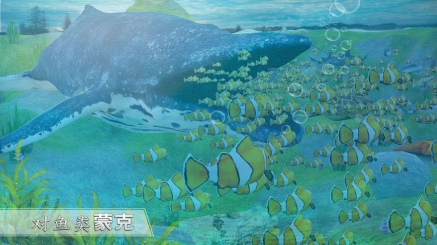 全民养鲸鱼截图1
