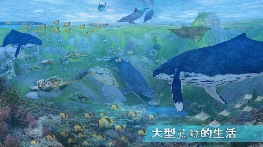 全民养鲸鱼截图3