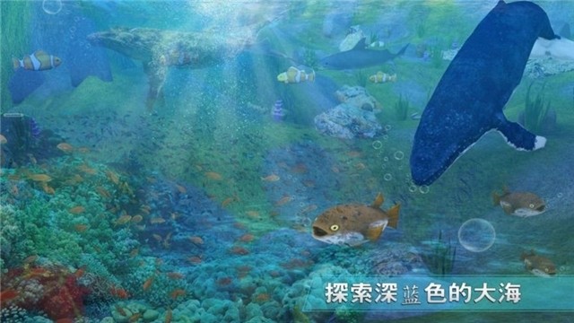 全民养鲨鱼截图0