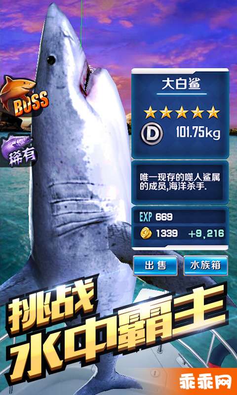 全民钓鱼