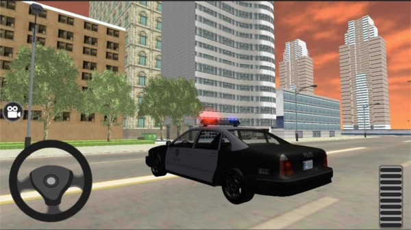 警车自由驾驶截图1