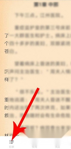疯狂小说