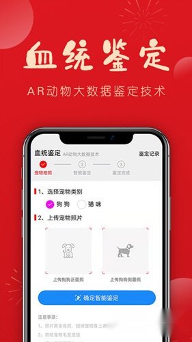 宠物帮