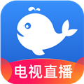 小鲸电视tv纯净版