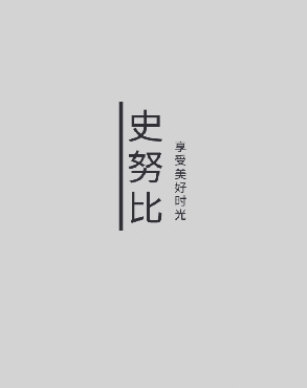 史鲁比小说安装