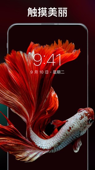 灵猫主题壁纸截图0