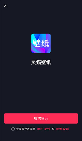 灵猫主题壁纸