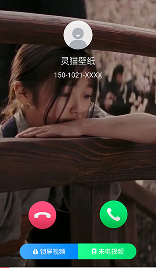 灵猫主题壁纸