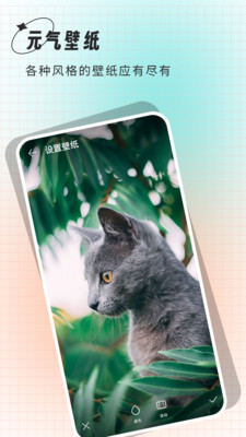 清壁纸截图1