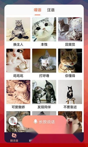 猫语翻译器