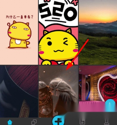 彩蛋视频壁纸