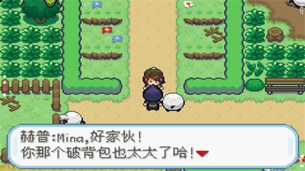 口袋妖怪剑盾截图1