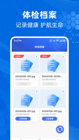体检报告解析助手
