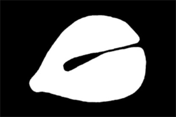 电子木鱼 免费