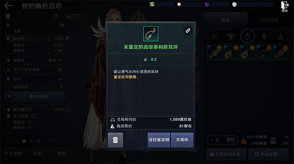 黑色沙漠国际版