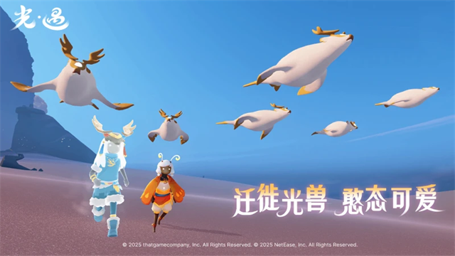 光遇小米渠道服截图2
