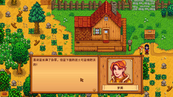 stardew valley