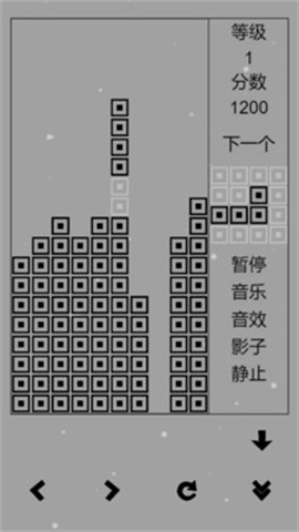 经典俄罗斯方块黑白版截图2