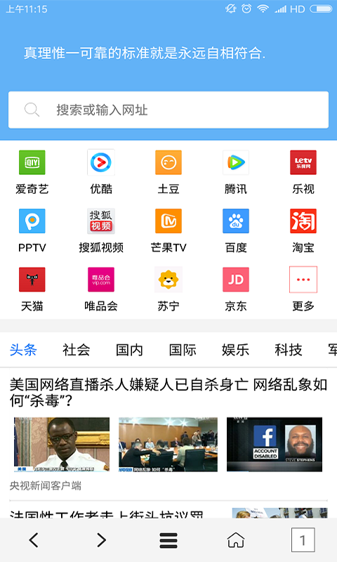 VIP浏览器截图0