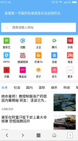VIP浏览器截图2