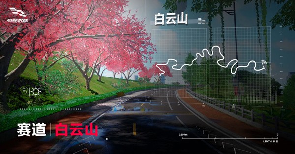 巅峰极速国际服
