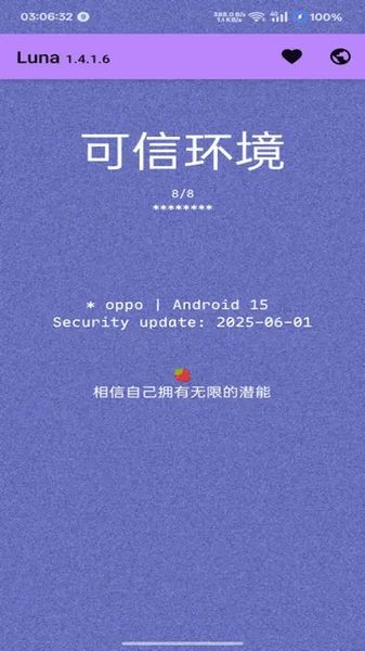 Luna环境检测工具截图2