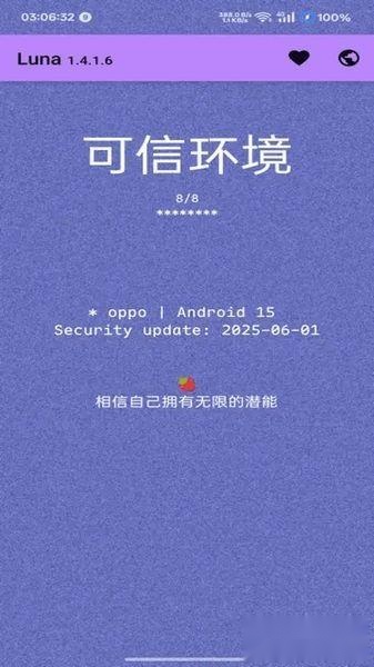Luna环境检测工具