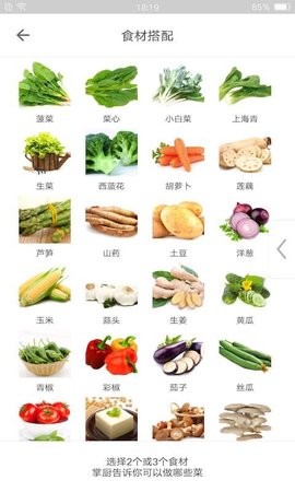 掌厨软件手机版