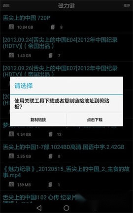 p2p种子搜索器