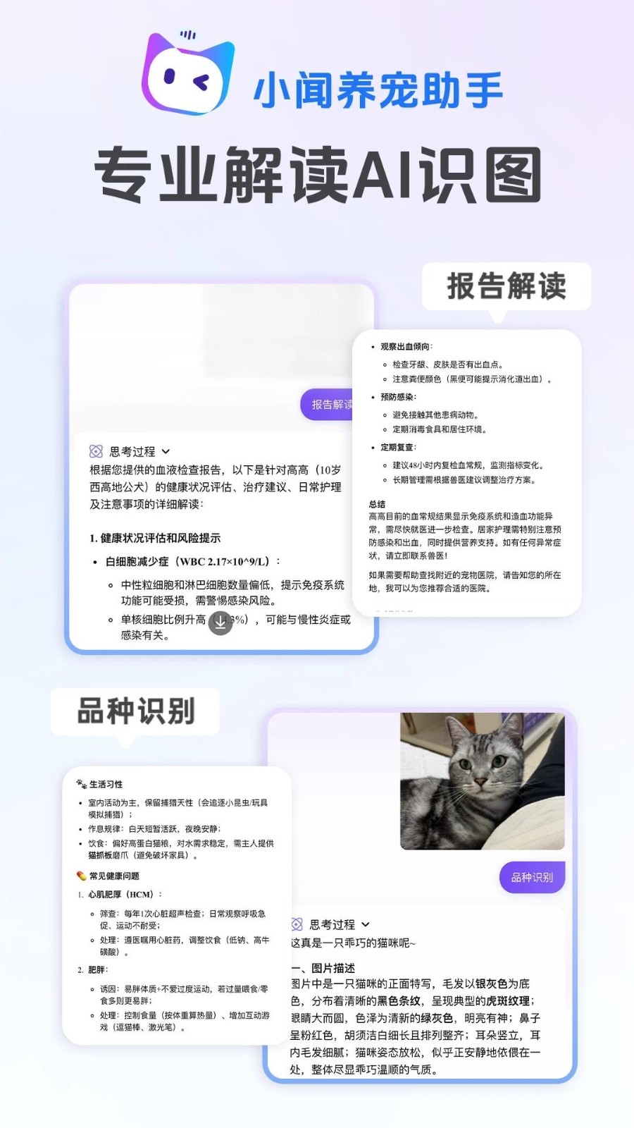 小闻养宠助手截图2