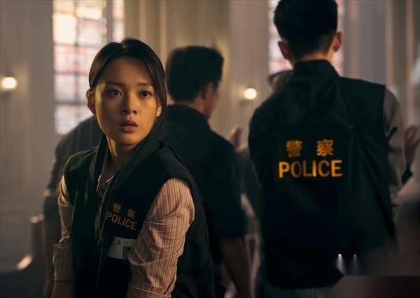 对不起我是警察手机版