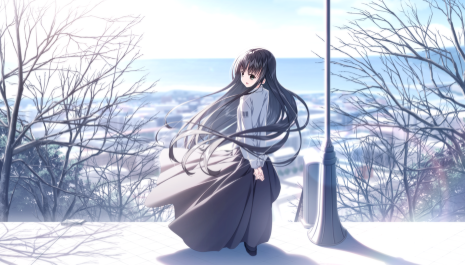 樱之诗安卓直装版