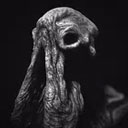 sarcoph游戏中文版