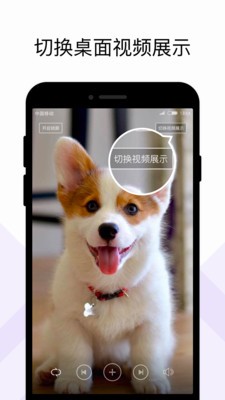 火萤组件最新截图1