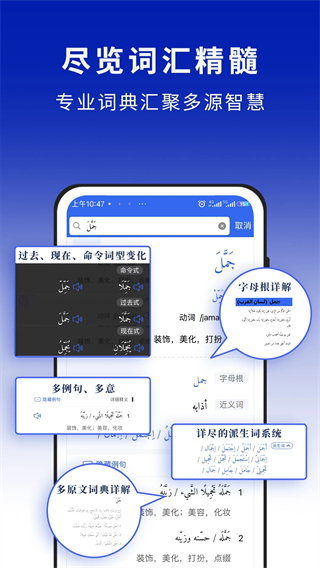 麦阿尼阿汉词典激活版截图3