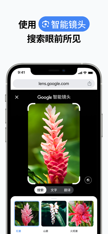 谷歌浏览器手机版