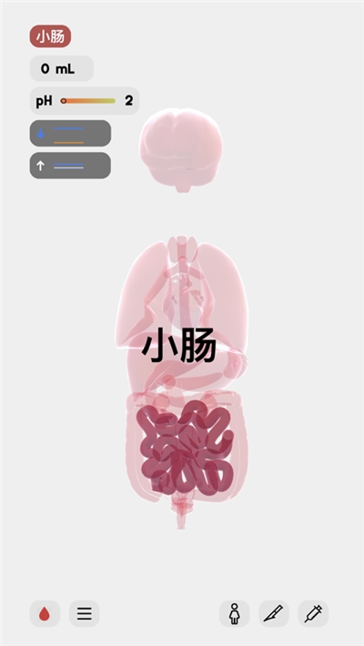 life生命模拟器安卓版截图1