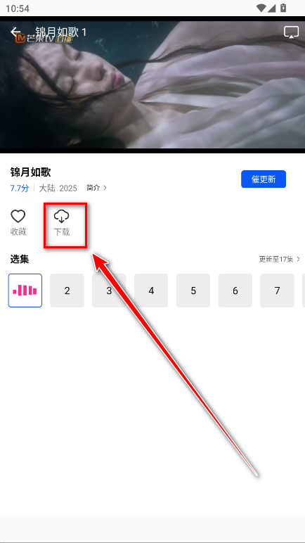 惊鸿视频