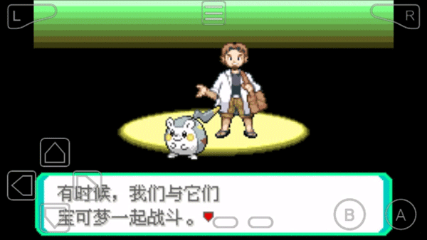 口袋妖怪究极绿宝石汉化版截图3